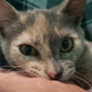 Meet your Posher, Mikaela